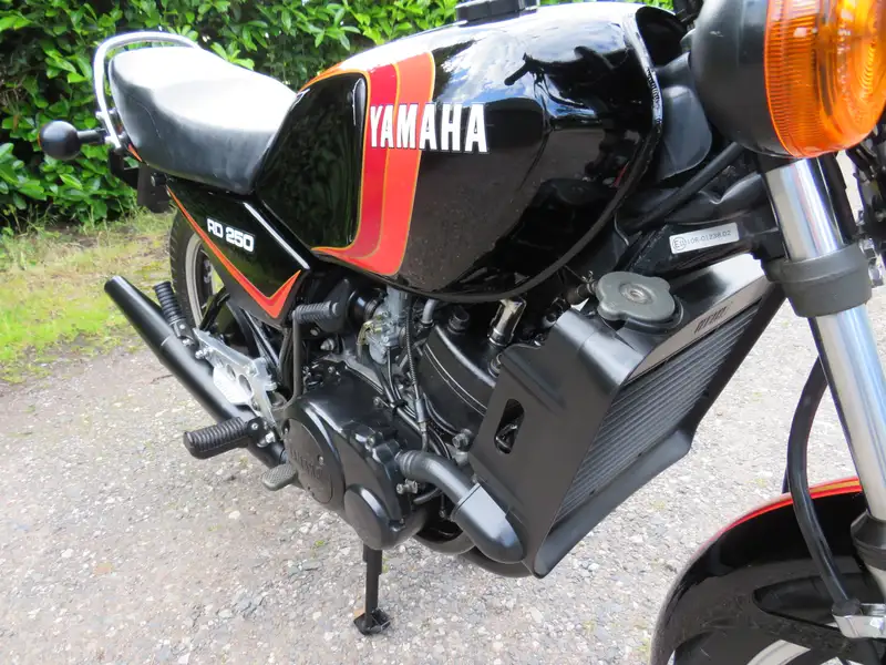 1981 Yamaha RD250LC 247cc-For Sale