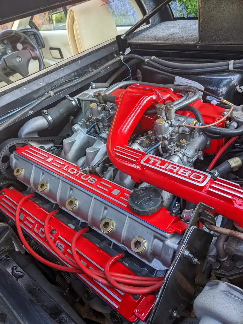 1988 Lotus Esprit Turbo (X180)-For Sale