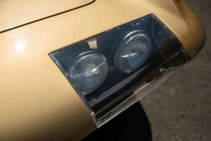 1965 Chevrolet Corvette C2 Stingray FIA Race Car-For Sale