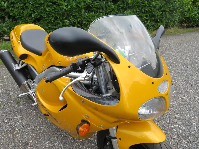 1997 Triumph T595 Daytona 955cc-Sold