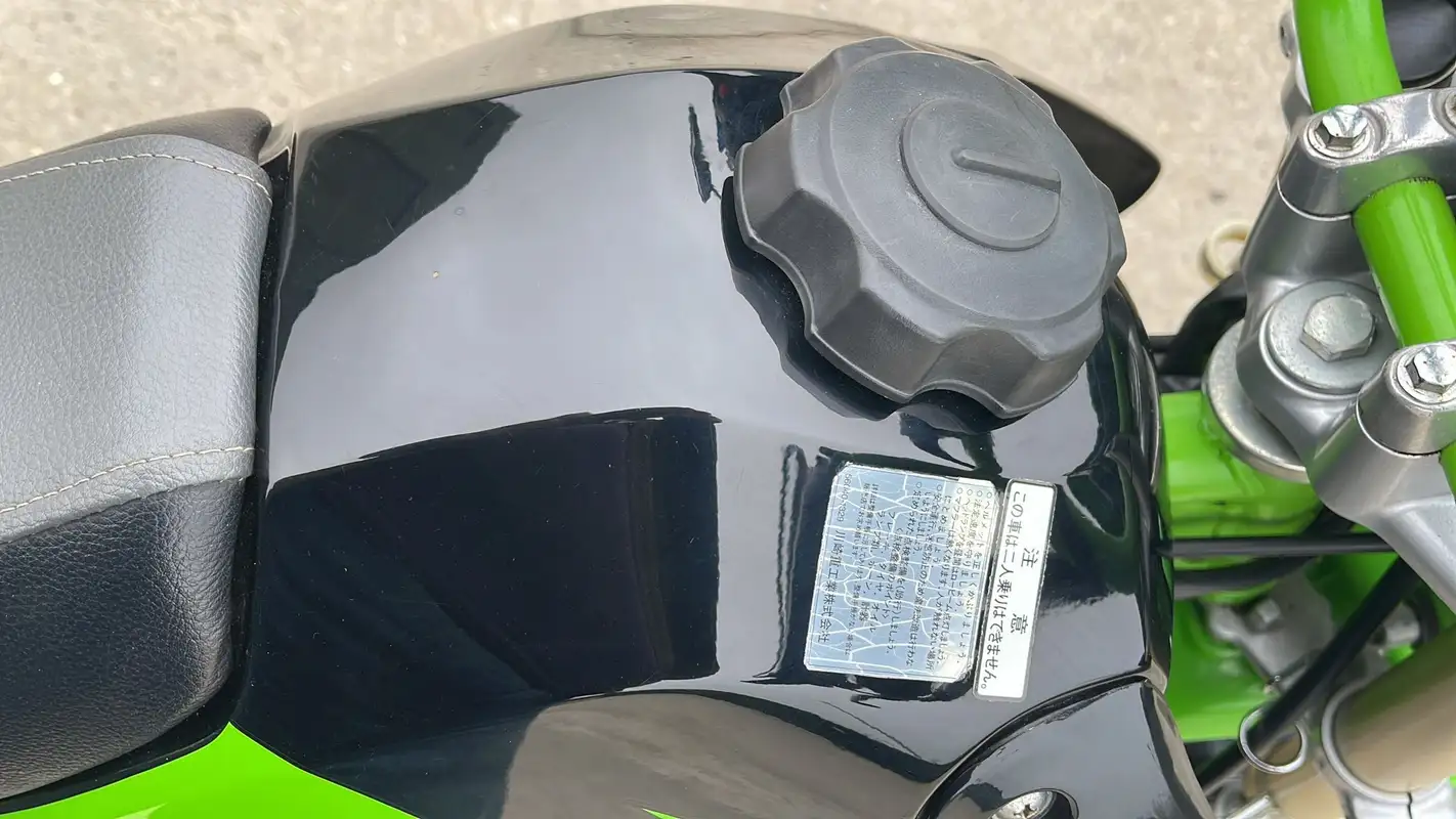 Iconic Auctioneers | 1998 Kawasaki KSR80 II 79cc-For Sale