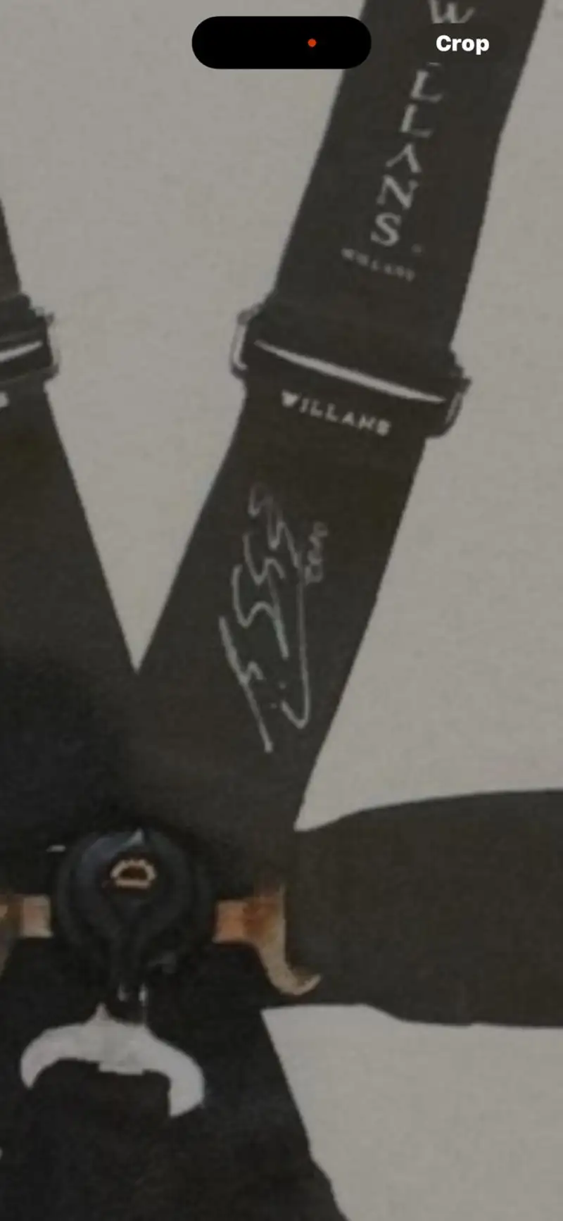 Michael Schumacher Race-Used and Signed Seat Belts-For Sale
