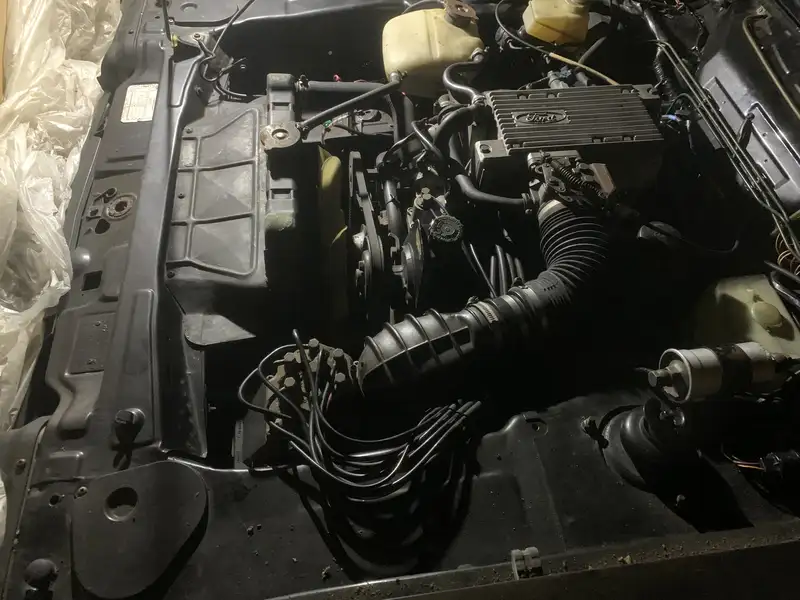 1984 Ford Capri 2.8 Injection 'Garage Find'-Sold