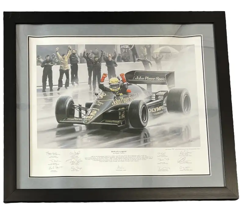 'Birth of a Legend' Ayrton Senna by Robert Tomlin. Team-Sign-For Sale