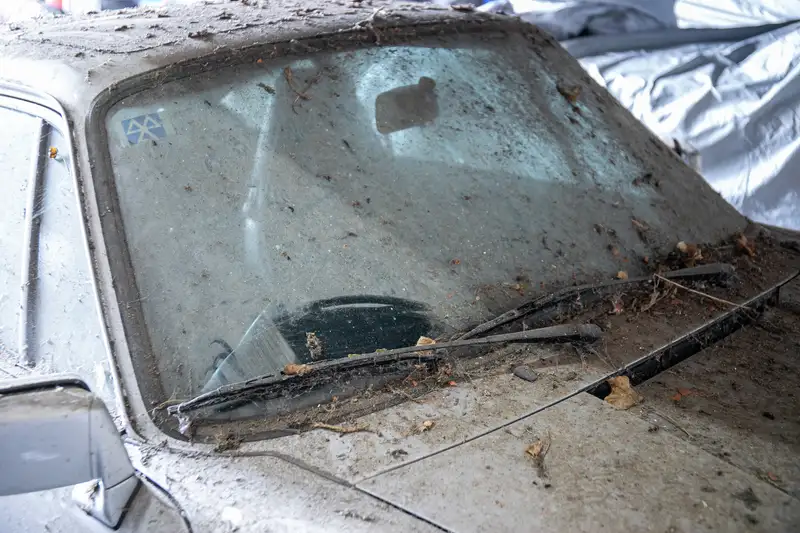 1989 Porcshe 911 3.2 Carrera Sport Coupé - barn find-Sold