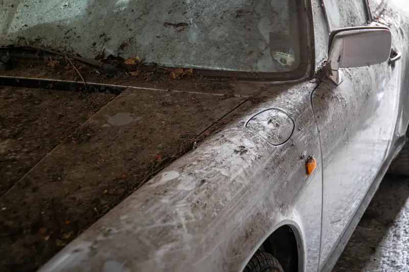 1989 Porcshe 911 3.2 Carrera Sport Coupé - barn find-Sold