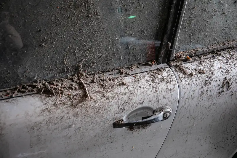 1989 Porcshe 911 3.2 Carrera Sport Coupé - barn find-Sold