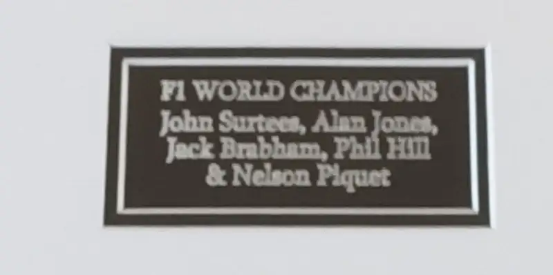 Large Framed and Glazed Chequered Flag Signed by Five Formul-For Sale