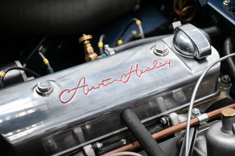 1953 Austin-Healey 100/4 BN1 ‘Cape Works’ Special-For Sale
