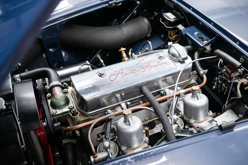 1953 Austin-Healey 100/4 BN1 ‘Cape Works’ Special-For Sale