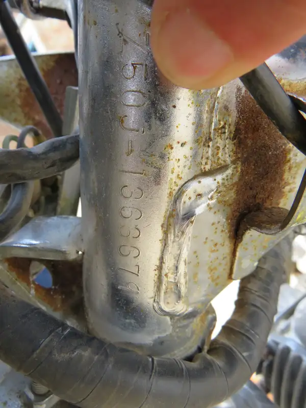 1978 Honda Z50J Chrome Limited Monkey Bike 49cc-For Sale