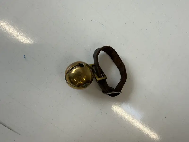 Victorian Brass Rumble Bell-For Sale