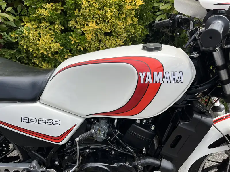 1980 Yamaha RD250LC  250cc-For Sale