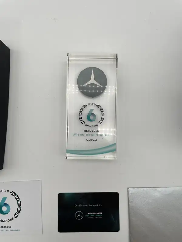 Eclectic Mix of Mercedes AMG Petronas Memerabila From a Seni-Sold