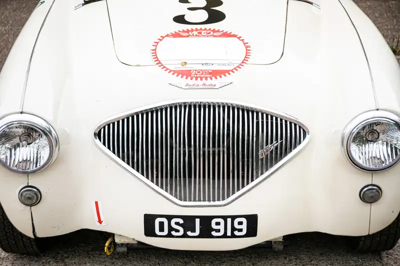 1955 FIA Austin Healey 100 to 100M Specification-For Sale