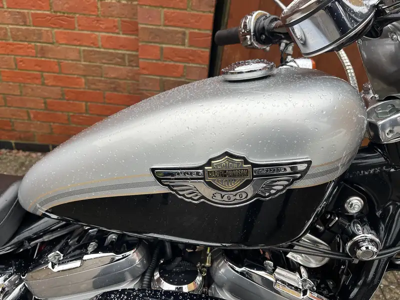 Iconic Auctioneers | 2003 Harley-Davidson XL883C Sportster Custom
