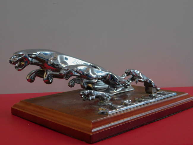 Leaping Jaguar motoring mascot display.-Sold