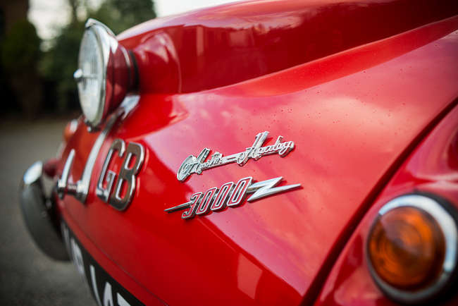 1961 Austin Healey 3000 Mk II Works Rally Replica-Auction Lot