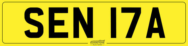 Registration Number 