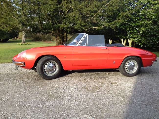 1967 Alfa Romeo Duetto Spider-Sold