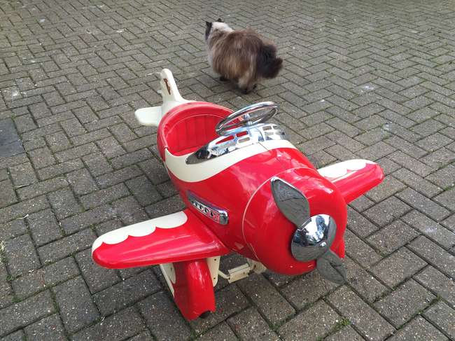 'Gee Bee Racer' American pedal car-Auction Lot