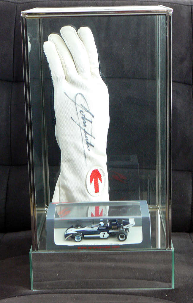 Team Surtees  glove, signed John Surtees CBE -Sold