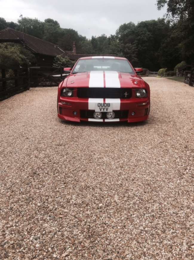 2008 Ford Mustang Shelby GT500-Sold