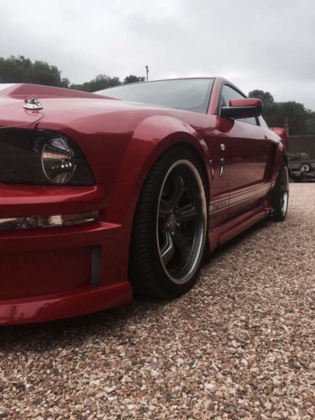 2008 Ford Mustang Shelby GT500-Sold