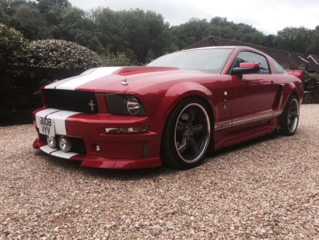 2008 Ford Mustang Shelby GT500-Sold