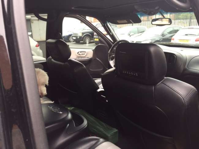 2003 Ford F150 Harley Davidson Pick up-Sold