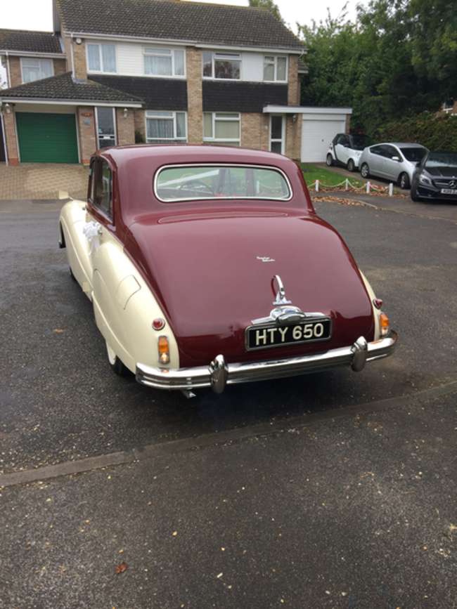 1955 Armstrong Siddley Sapphire 346-Sold