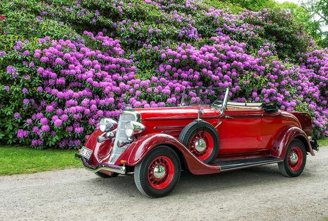 1934 Dodge Convertible CoupÃ©-Auction Lot