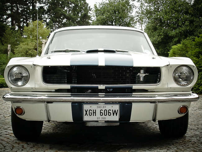1966 Shelby GT-350-Sold