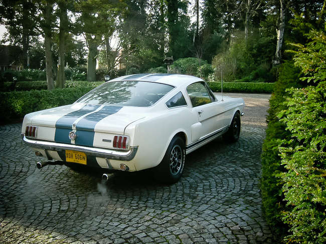 1966 Shelby GT-350-Sold