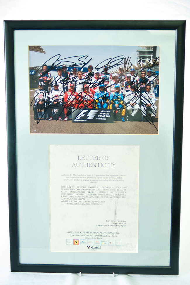 The Full 2006 Grand Prix Grid signed photograph-Sold