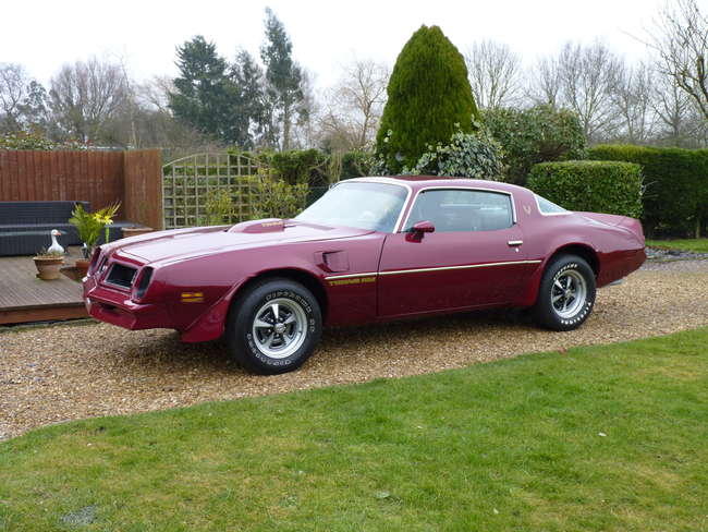 1975 Pontiac Firebird Trans Am-Sold