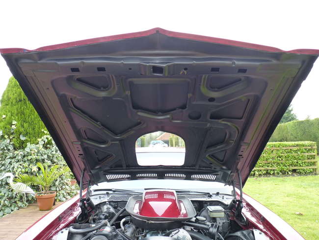 1975 Pontiac Firebird Trans Am-Sold
