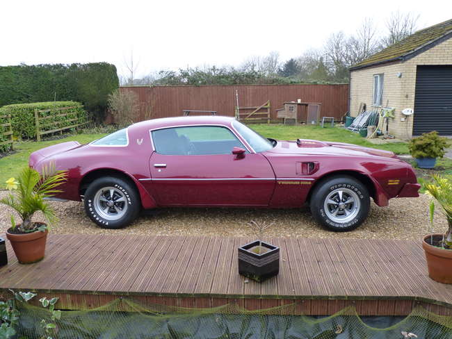 1975 Pontiac Firebird Trans Am-Sold
