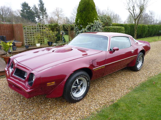 1975 Pontiac Firebird Trans Am-Sold