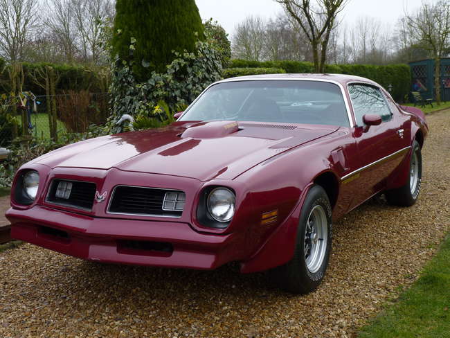 1975 Pontiac Firebird Trans Am-Sold