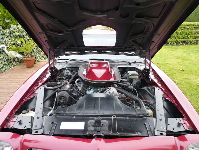 1975 Pontiac Firebird Trans Am-Sold
