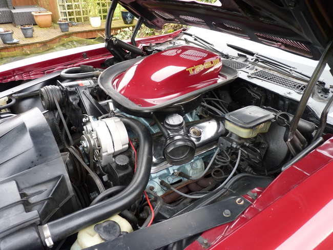 1975 Pontiac Firebird Trans Am-Sold