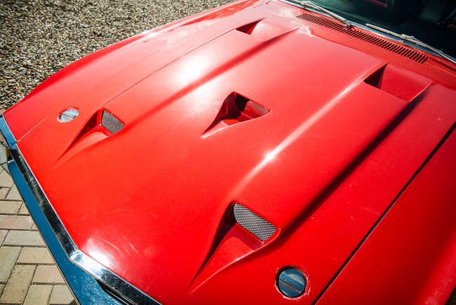 1969 Ford Shelby Mustang GT350-Auction Lot