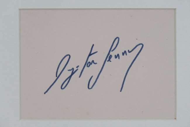 Ayrton Senna autograph in photographic montage-Sold