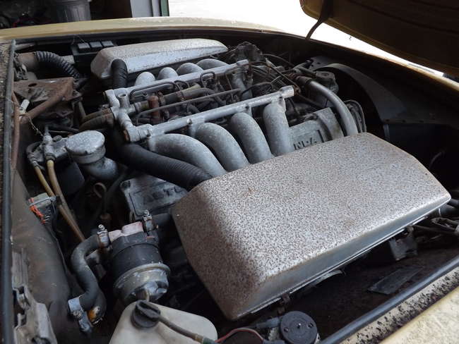 1973 Aston Martin AM V8 - Garage Find-Sold