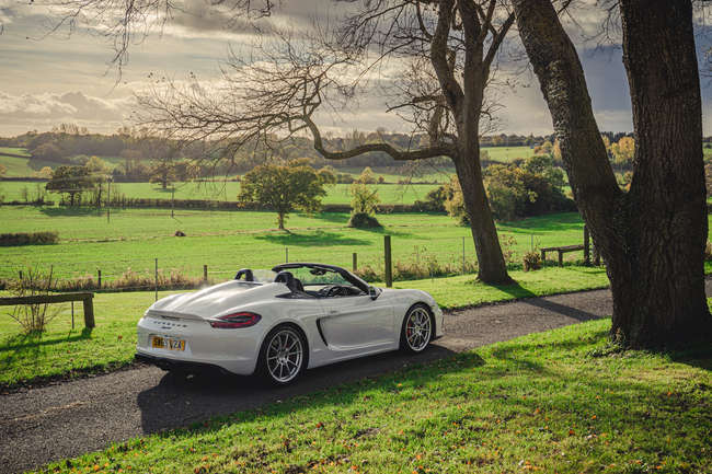 Iconic Auctioneers | 2015 Porsche Boxster Spyder (981)-Sold