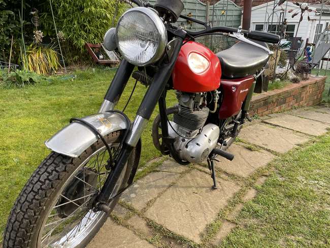 bsa barracuda for sale