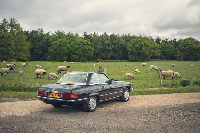 1987 Mercedes-Benz 420 SL (R107)-Auction Lot