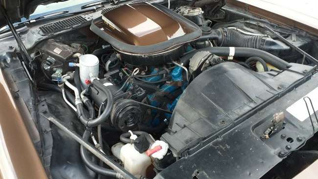 1977 Pontiac Firebird Trans Am 400 Ci-Auction Lot
