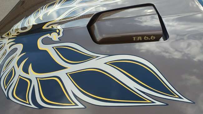 1977 Pontiac Firebird Trans Am 400 Ci-Auction Lot